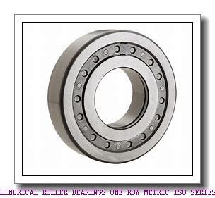 ISO NJ2220EMA CYLINDRICAL ROLLER BEARINGS ONE-ROW METRIC ISO SERIES